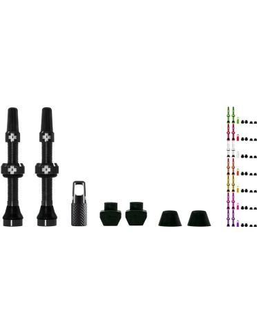 Tubeless Valve Kit - 44mm - col. assortiti