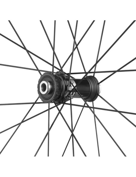 SPEED 42 DB 2WF C23 AFS HG11