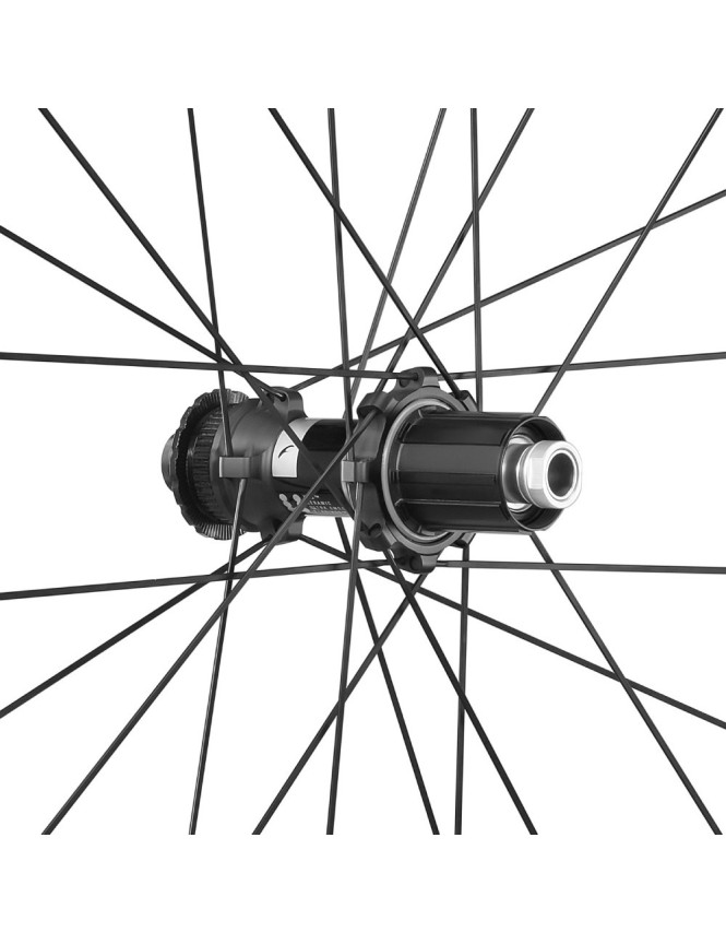 SPEED 42 DB 2WF C23 AFS HG11