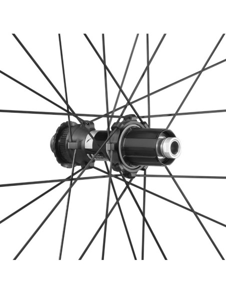 SPEED 42 DB 2WF C23 AFS HG11