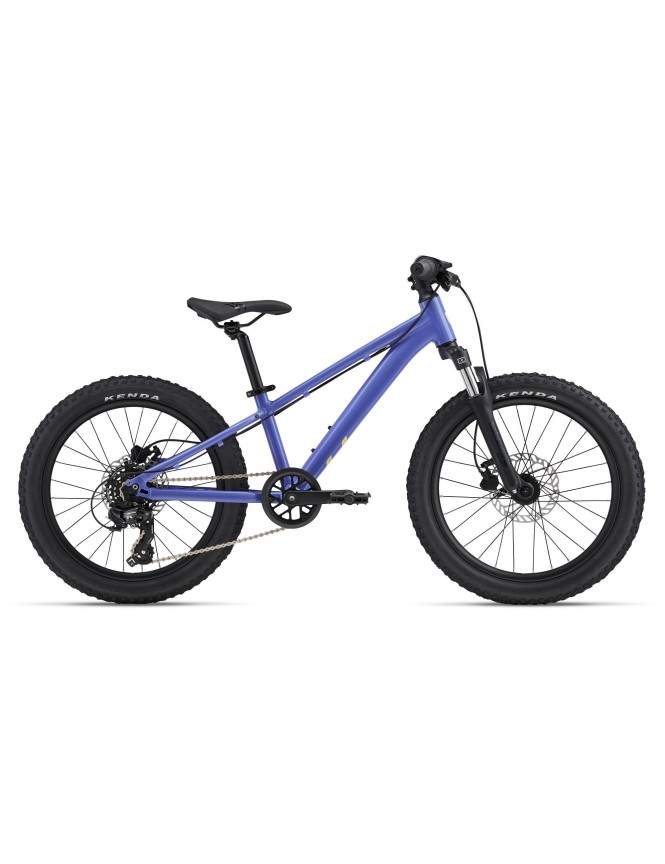 STP 20 FS