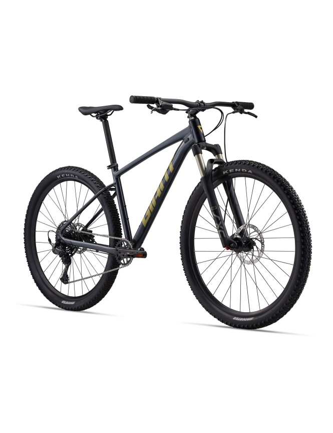 Talon 29 1