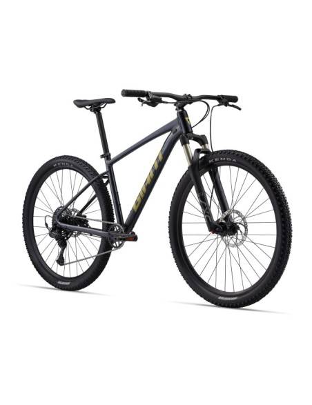Talon 29 1