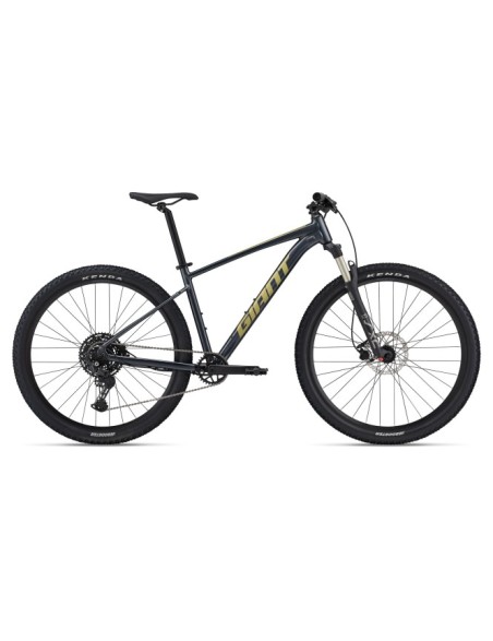 Talon 29 1