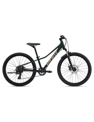 Talon 24 Disc Trekking Green