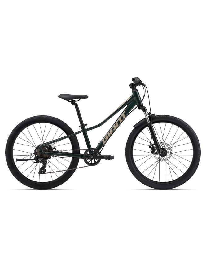 Talon 24 Disc Trekking Green