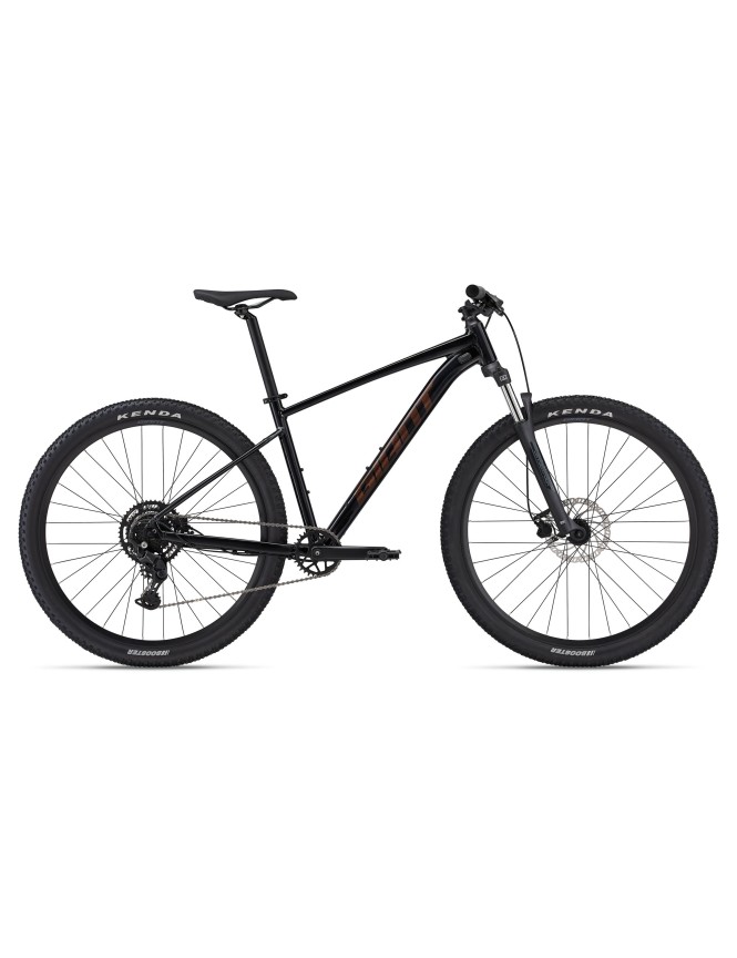 Talon 29 2