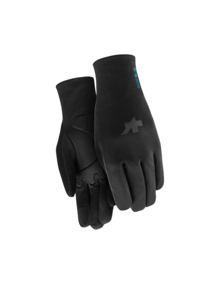 Winter Gloves P1