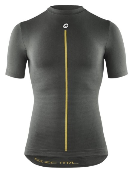 2/3 SS Skin Layer P1