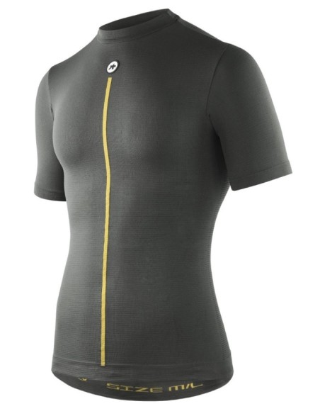 2/3 SS Skin Layer P1