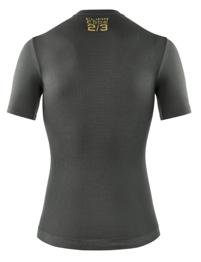 2/3 SS Skin Layer P1