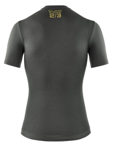 2/3 SS Skin Layer P1