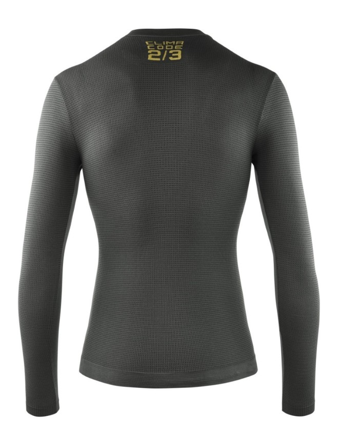 2/3 LS Skin Layer P1
