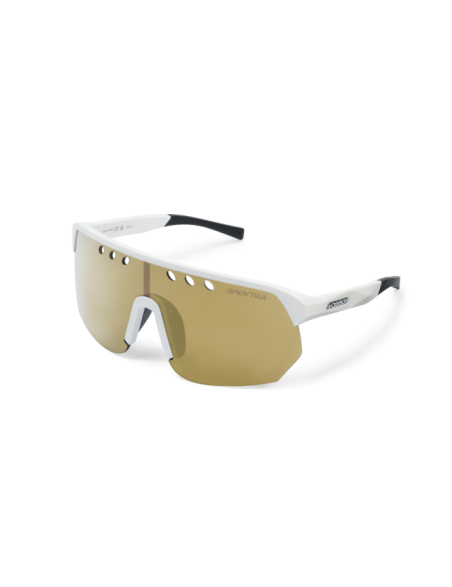 DONZI Eyewear Gold