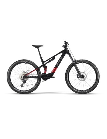 Whistle AXR C6.6