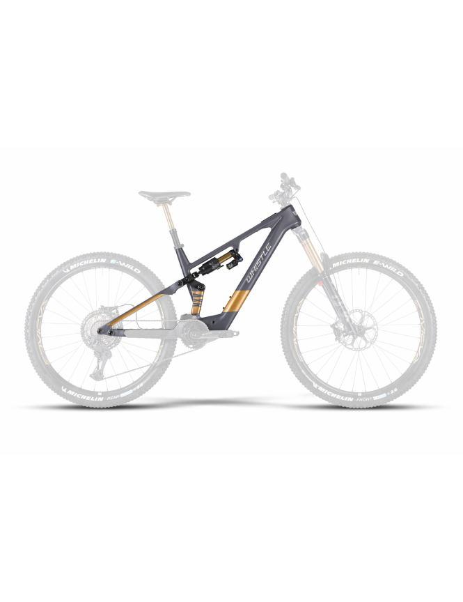 Whistle AXR C8.6