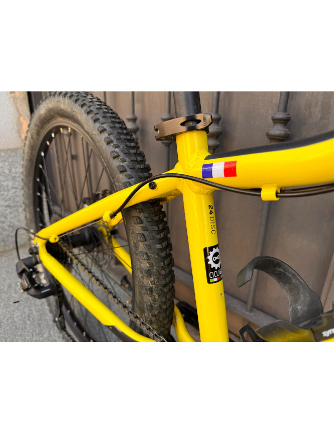 SCOTT Scale 24 Disc Usata Revisionata | Garantita 12 Mesi | Cicli Gai Chieri