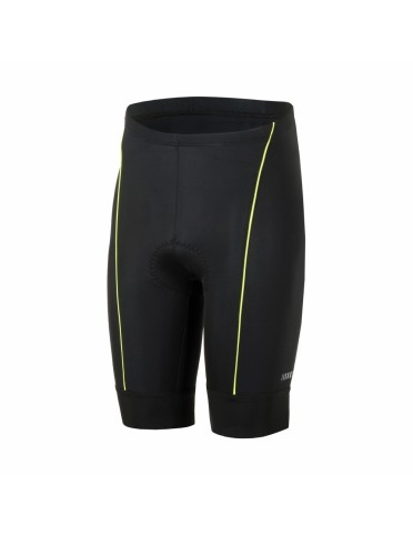 Lambda Shorts Rh+