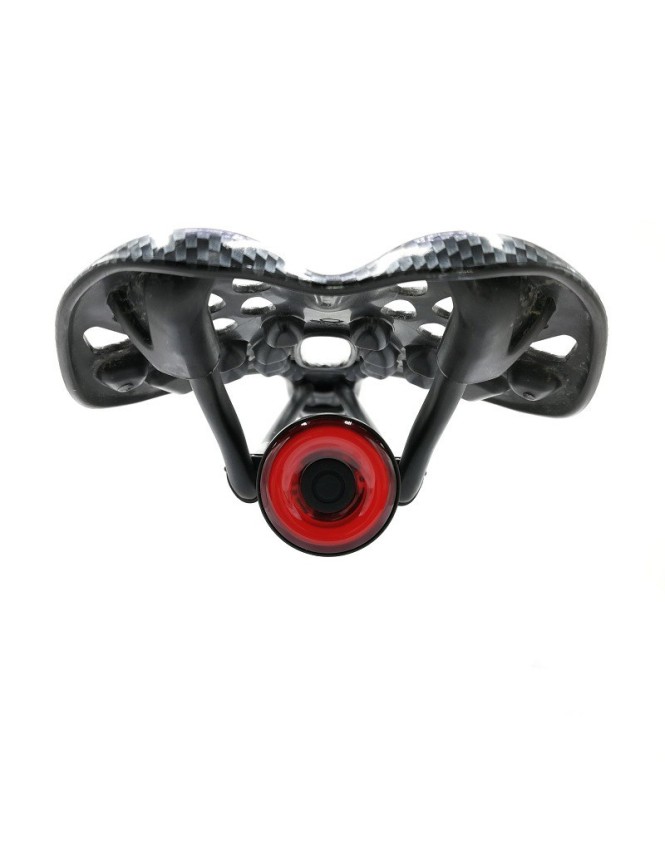 Fanalino posteriore Smart Xlite 100 USB
