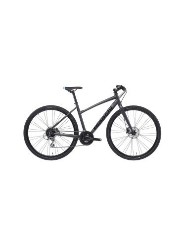 C-Sport Dama 2