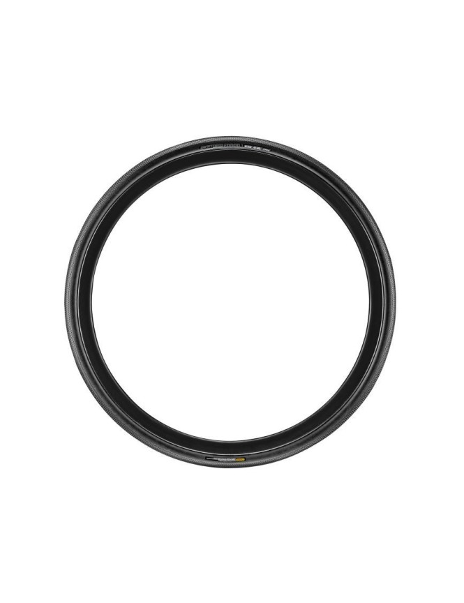 Giant Copertone Gavia Fondo 1 700x28C